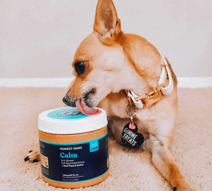 Screen Shot 2023-12-16 at 1.16.50 PM